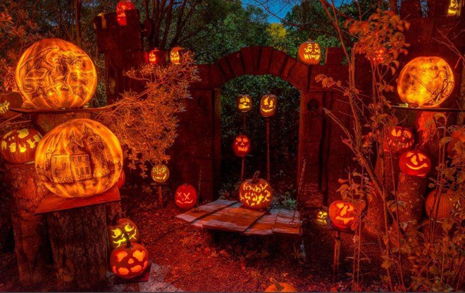 Bí quyết chụp ảnh đẹp đêm hội Halloween
1