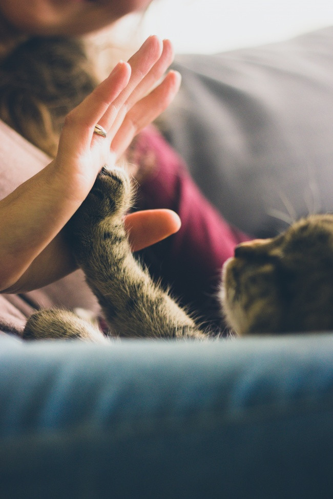 Hãy đặt điện thoại xuống và cảm nhận thế giới xung quanh bạn
7