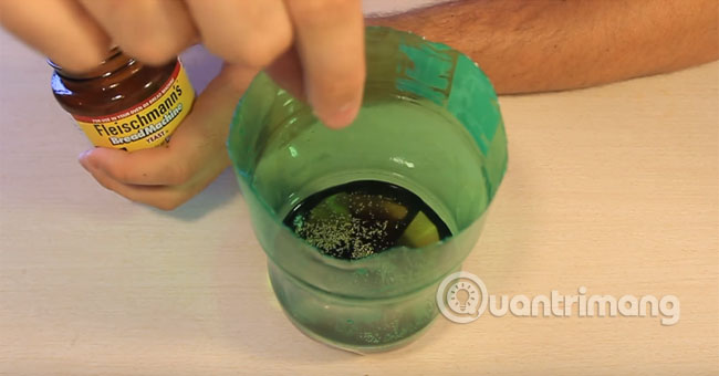 Hướng dẫn làm bẫy bắt muỗi siêu hiệu quả
2