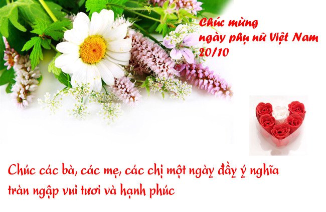 Hãy dành những lời chúc 20/10 hay và ý nghĩa nhất này tới phái đẹp
1