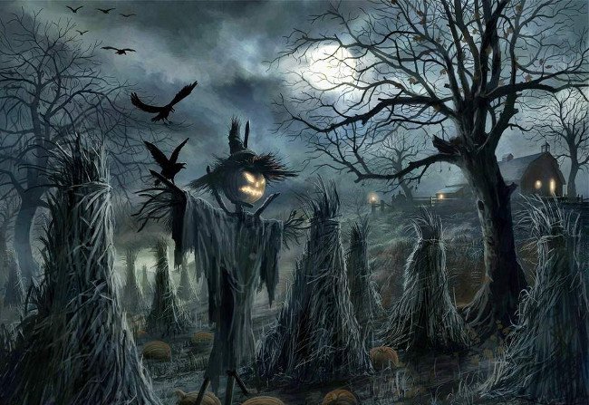 18 sự thật thú vị về Halloween khiến bạn kinh ngạc
0