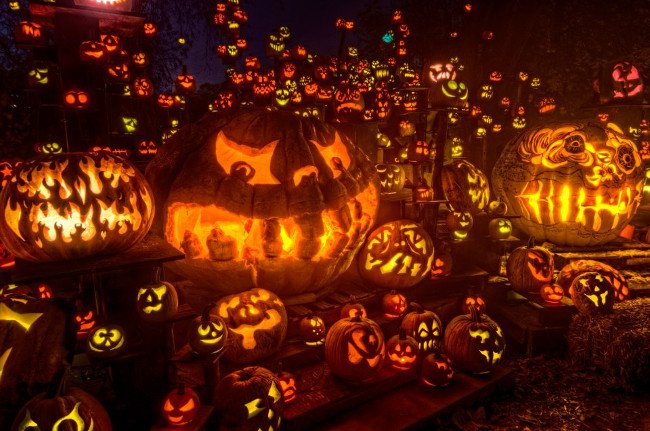 18 sự thật thú vị về Halloween khiến bạn kinh ngạc
1