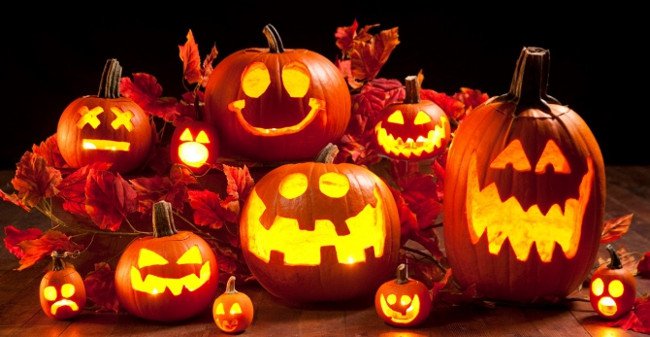 18 sự thật thú vị về Halloween khiến bạn kinh ngạc
4