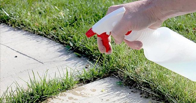 13 công dụng tuyệt vời của GIẤM có thể bạn chưa biết
0