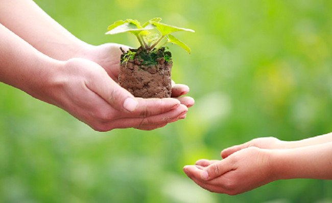 20 bài học thực tế về cuộc sống giúp bạn sống tốt và ý nghĩa hơn
9