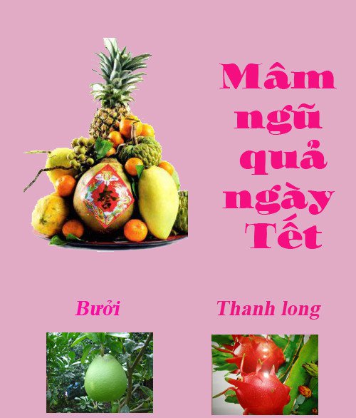 Cách bày và ý nghĩa mâm ngũ quả ở ba miền
1