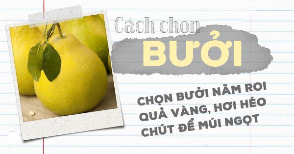 Cách bày và ý nghĩa mâm ngũ quả ở ba miền
10