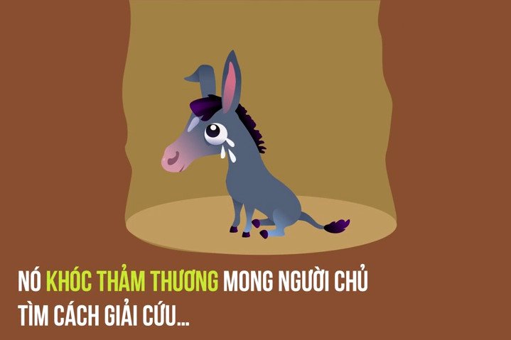 Câu chuyện con lừa già và bài học cuộc sống đáng suy nghĩ
2