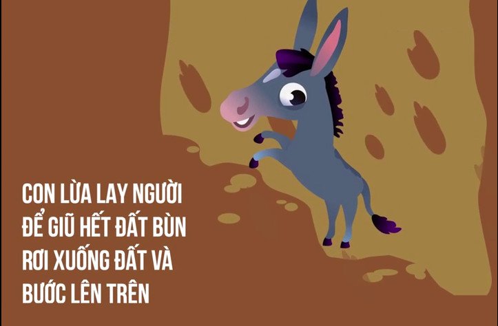 Câu chuyện con lừa già và bài học cuộc sống đáng suy nghĩ
9