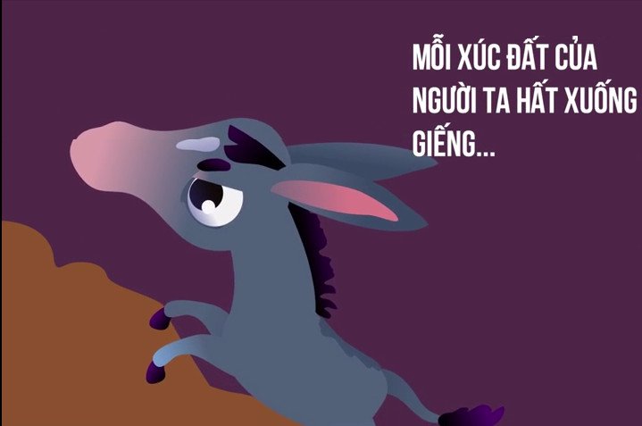 Câu chuyện con lừa già và bài học cuộc sống đáng suy nghĩ
11