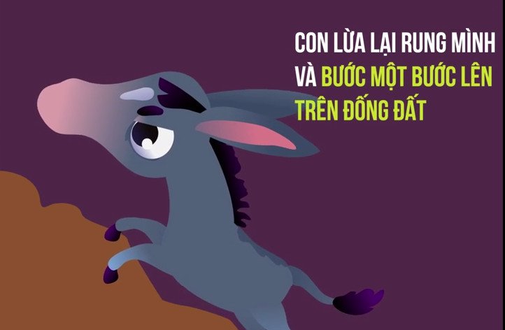Câu chuyện con lừa già và bài học cuộc sống đáng suy nghĩ
12