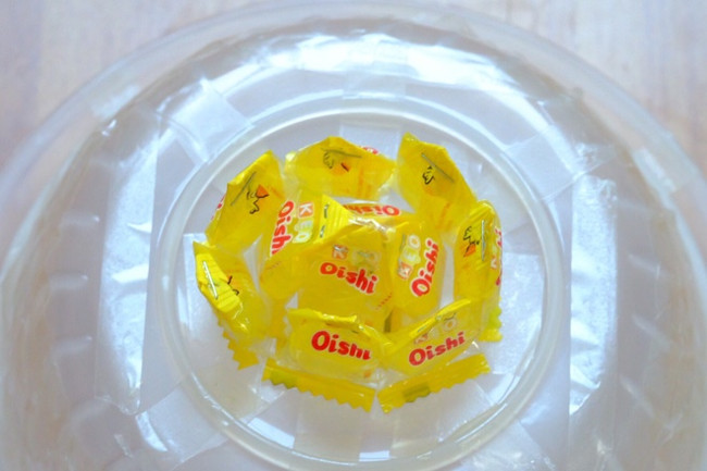 Cách làm hoa sen cực đẹp từ kẹo Oishi bày trên bàn thờ dịp Tết
3