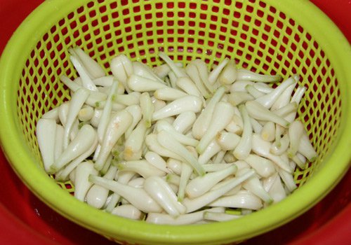 Cách muối dưa hành, kiệu chua ngọt không thể thiếu ngày Tết của người Việt
3