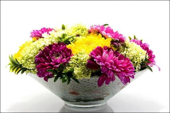 Cắm hoa cúc mang sung túc vào nhà cho ngày Tết 2017
5