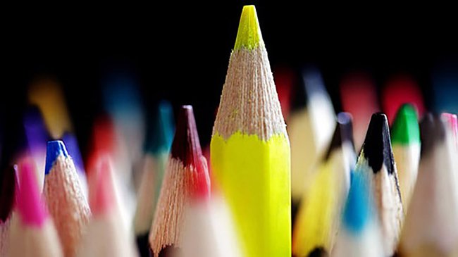 Bạn là nhà chỉ huy tài ba hay là một nhân viên cần mẫn?
0