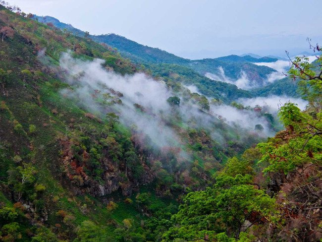 Trải nghiệm chuyến đi thú vị qua Sri Lanka
3