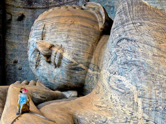 Trải nghiệm chuyến đi thú vị qua Sri Lanka
8