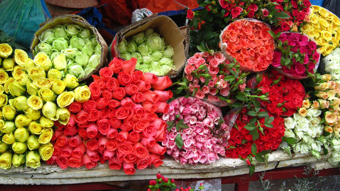 Bí kíp giữ hoa tươi lâu trong ngày Tết
0