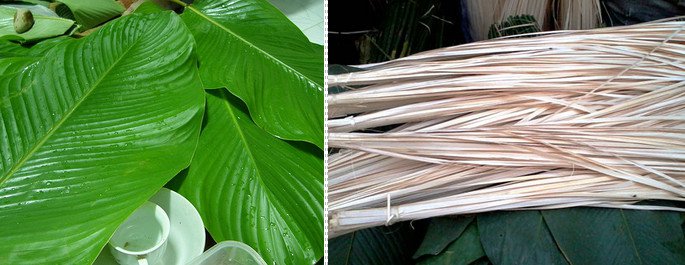 Hướng dẫn cách gói bánh chưng truyền thống vuông, đẹp cho ngày Tết
2
