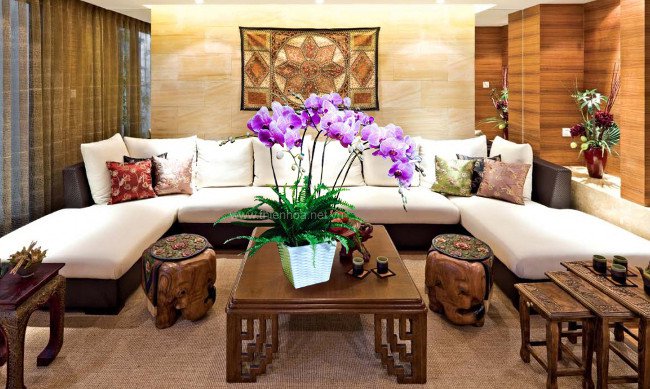 12 loại cây cảnh mang tài lộc vào nhà ngày Tết
12