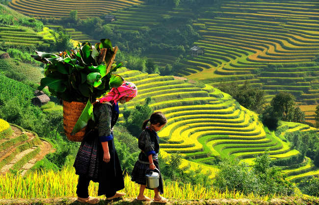 10 đếm đến lãng mạn không thể bỏ qua trong dịp Valentine
1