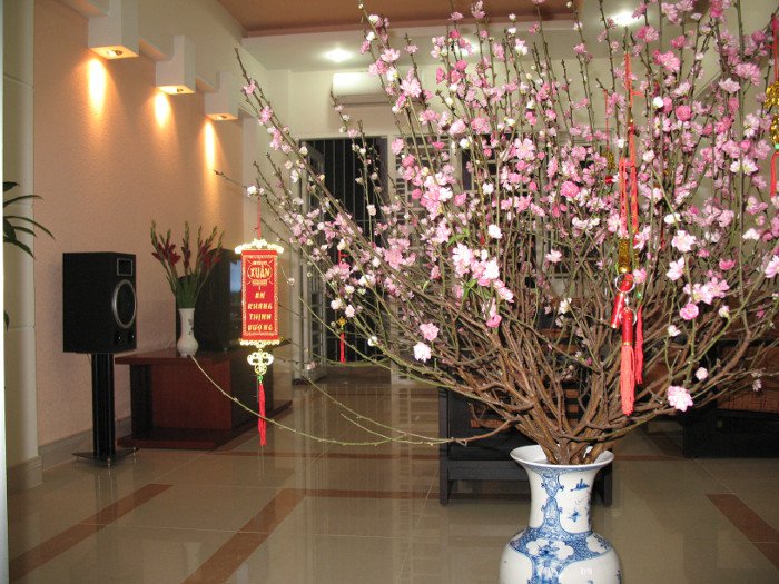 Cách chọn và giữ hoa đào đẹp ngày rằm tháng Giêng
2