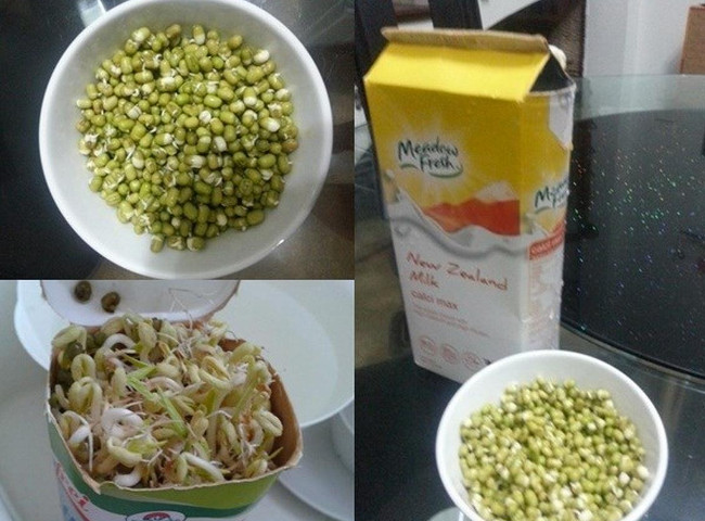 4 cách làm giá đỗ ngon ngay tại nhà vô cùng đơn giản
0