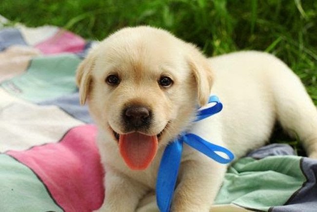 Những món quà không nên tặng trong ngày Valentine
4