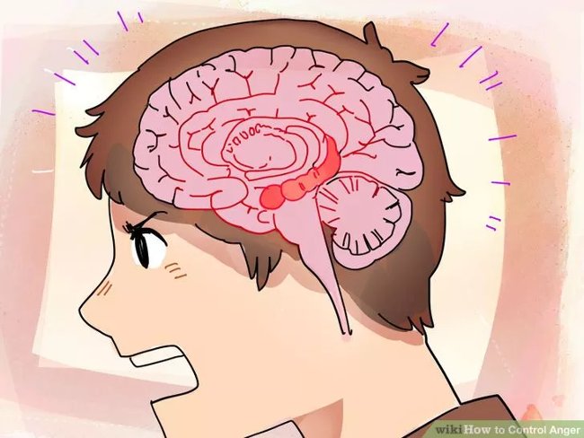Làm thế nào để kiểm soát cơn tức giận?
0
