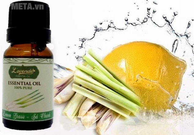 Những mẹo nhỏ giúp nhà bạn luôn khô thoáng khi trời nồm
8