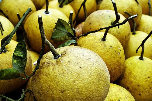 Hướng dẫn đường đi, mua đồ lễ, vui chơi khi tới đền Hùng - Phú Thọ
6