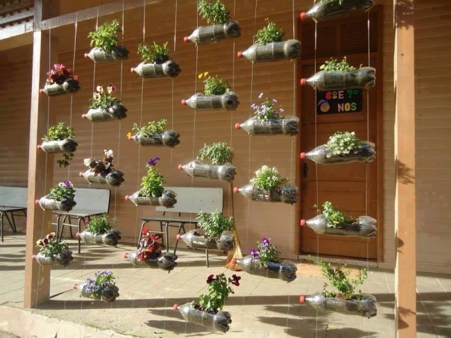 10 ý tưởng sáng tạo làm chậu hoa từ chai nhựa cũ
8