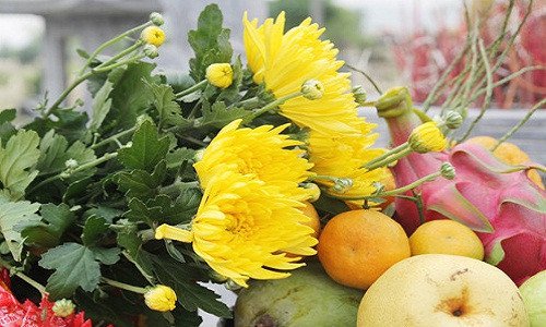 Những điều cần lưu ý khi đi tảo mộ
1