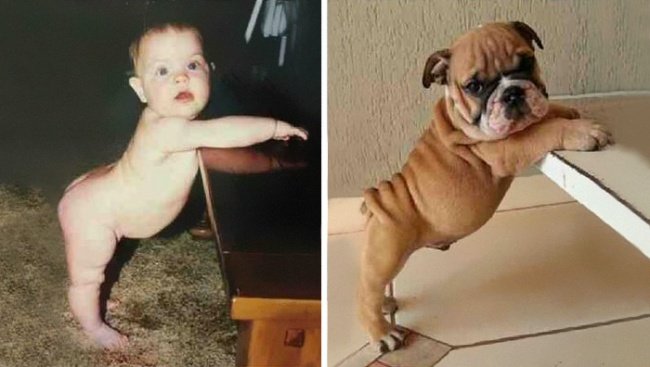 
                        15 khoảnh khắc trùng hợp ngẫu nhiên giống nhau đến bất ngờ
                     2