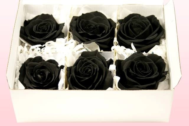 Valentine đen 14/4 ngày dành cho những người cô đơn
4
