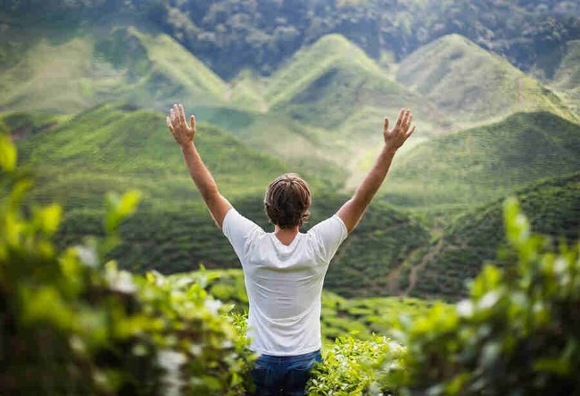 Nếu bạn đang đi tìm mục đích cuộc đời mình, hãy đọc bài viết này!
3