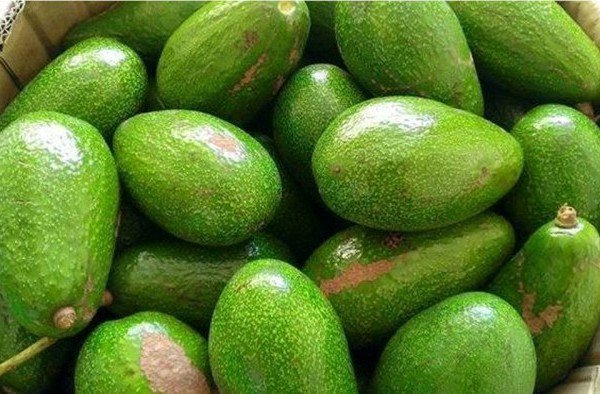 Để chọn được bơ sáp ngon cần phải áp dụng những mẹo sau
1