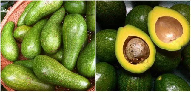 Để chọn được bơ sáp ngon cần phải áp dụng những mẹo sau
2