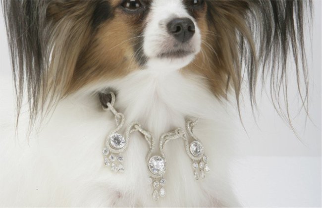 Top 10 món đồ đắt đỏ nhưng vô dụng nhất trên thế giới
5