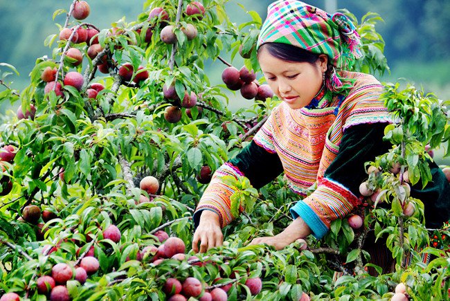 Những địa điểm du lịch thú vị cho ngày nghỉ lễ 30/4 -1/5
2