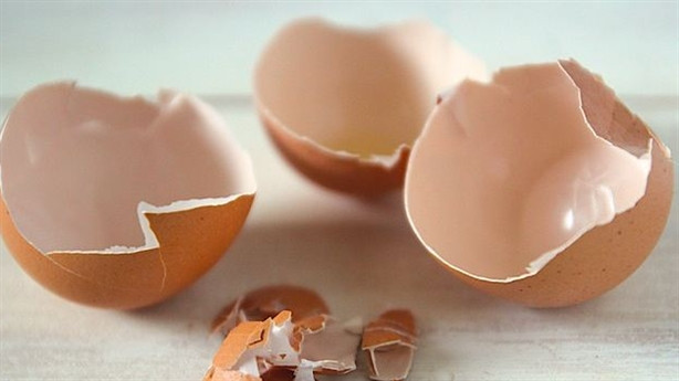 Dùng rác nhà bếp để tái chế thành phân bón cho vườn rau nhà
1