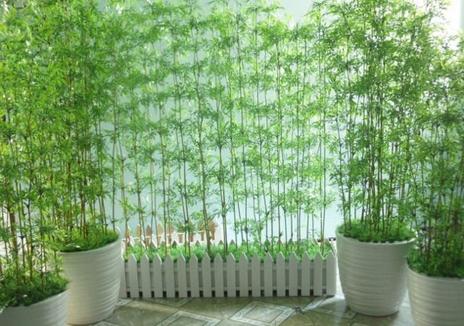 Cách để giúp bạn và ngôi nhà không bị nóng trong những ngày hè
10