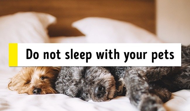 
                        15 mẹo cực hay giúp đánh bại chứng mất ngủ và dễ dàng thức dậy vào buổi sáng
                     5