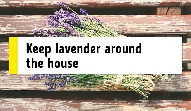 
                        15 mẹo cực hay giúp đánh bại chứng mất ngủ và dễ dàng thức dậy vào buổi sáng
                     8