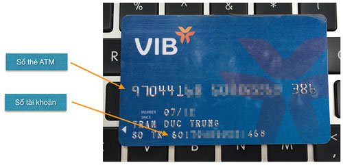 Cơ bản về dịch vụ ngân hàng: tài khoản, thẻ, số tài khoản
0