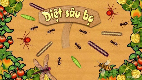 Tết Đoan Ngọ: Nguồn gốc, ý nghĩa và món ăn đặc trưng ở Việt Nam
0