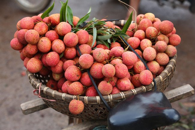 Tết Đoan Ngọ: Nguồn gốc, ý nghĩa và món ăn đặc trưng ở Việt Nam
5
