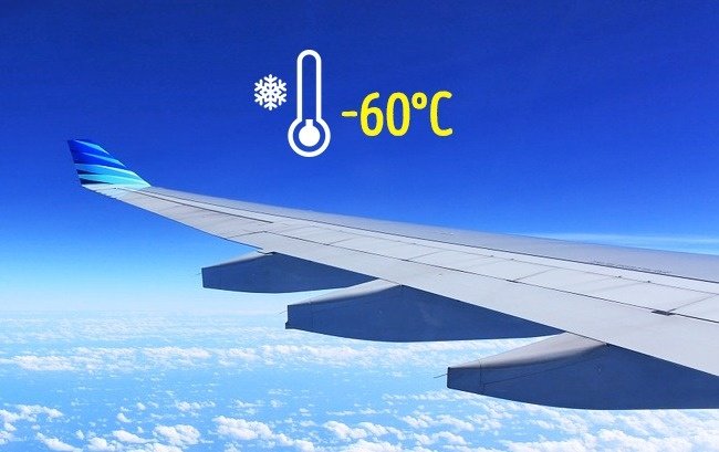 
                        7 mẹo hữu hiệu để có một chuyến bay lý tưởng có thể bạn chưa biết
                     0
