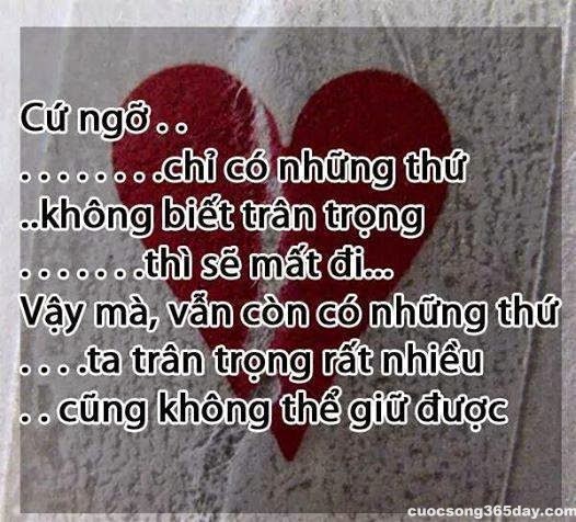 Những stt tâm trạng ý nghĩa lời hay ý đẹp về tình yêu tình bạn và cuộc sống 3