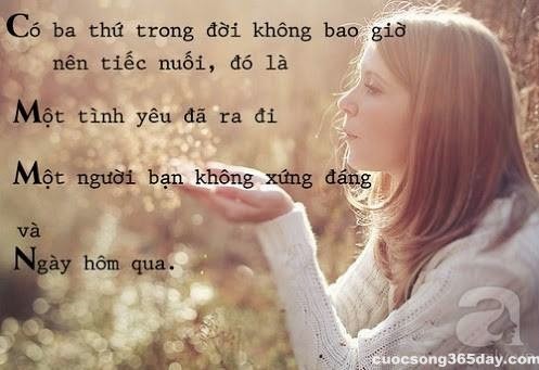 Những stt tâm trạng ý nghĩa lời hay ý đẹp về tình yêu tình bạn và cuộc sống 17